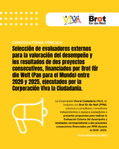 Convocatoria pública evaluadores externos (1)