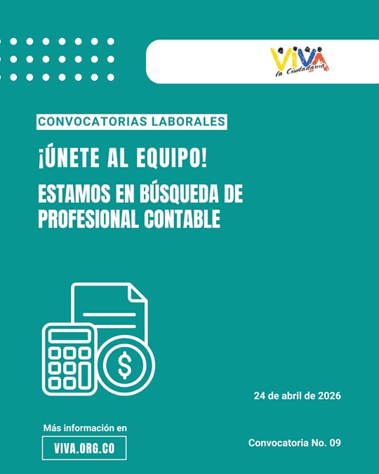 Convocatoria profesional contable