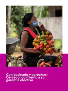 Informe Campesinado y derechos