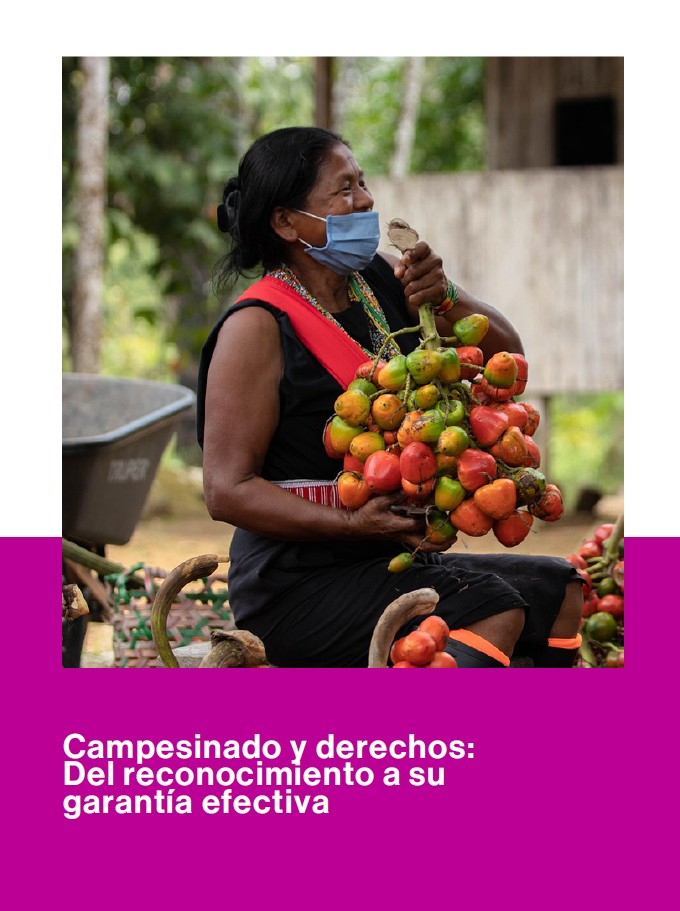 Informe Campesinado y derechos